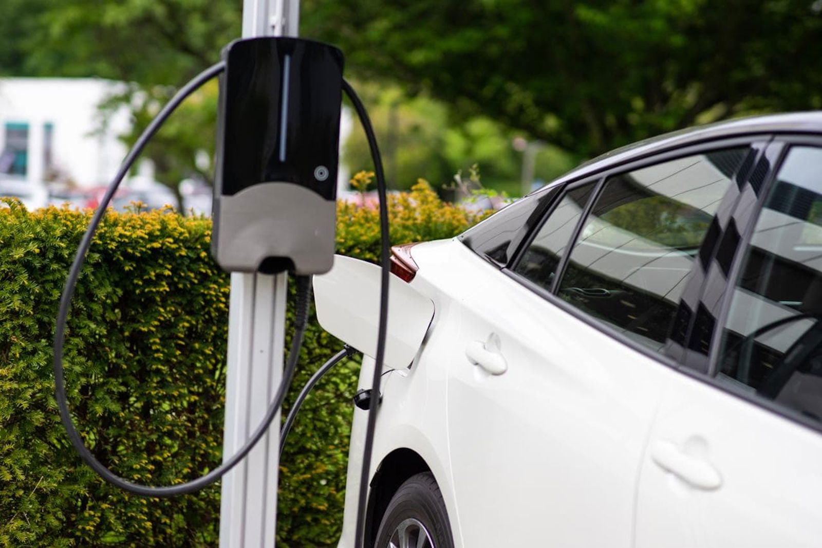 Elektroautos: Bundesregierung ermöglicht wieder doppelte Förderung - DER  SPIEGEL