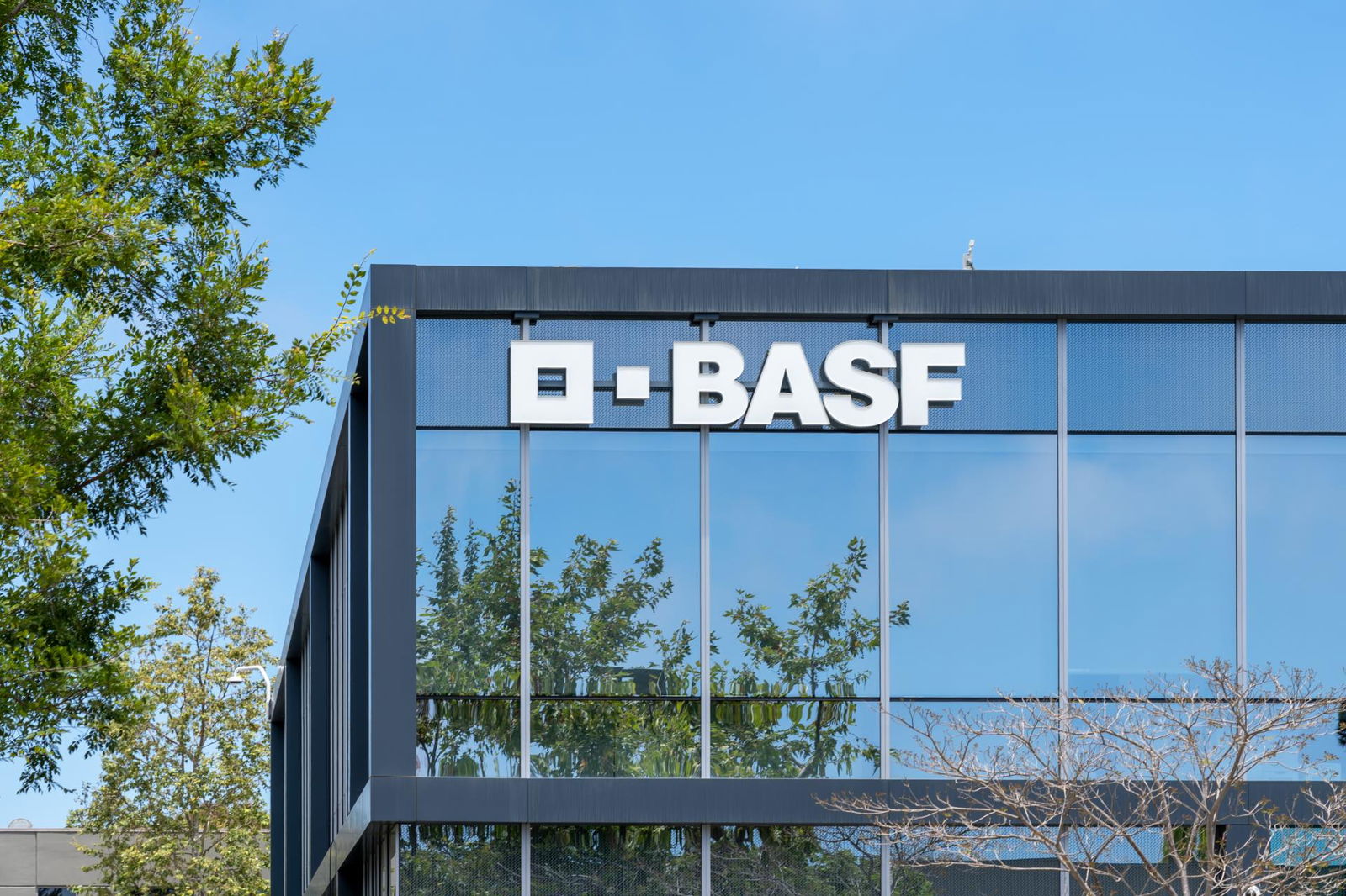 BASF: Eigenständige Einheit Für Batteriematerialien